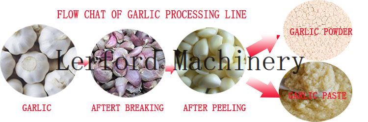 garlic bulb breaker garlic bulb breaker