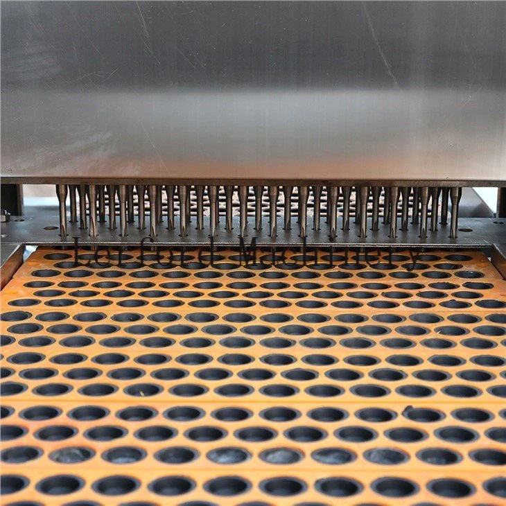 fruit pitter machine (2)