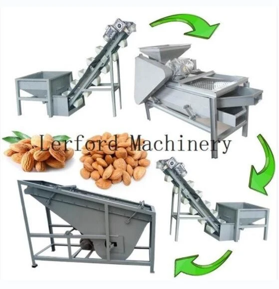 Nut Grader Machine