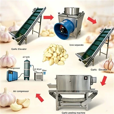 Sbucciatrice industriale per aglio